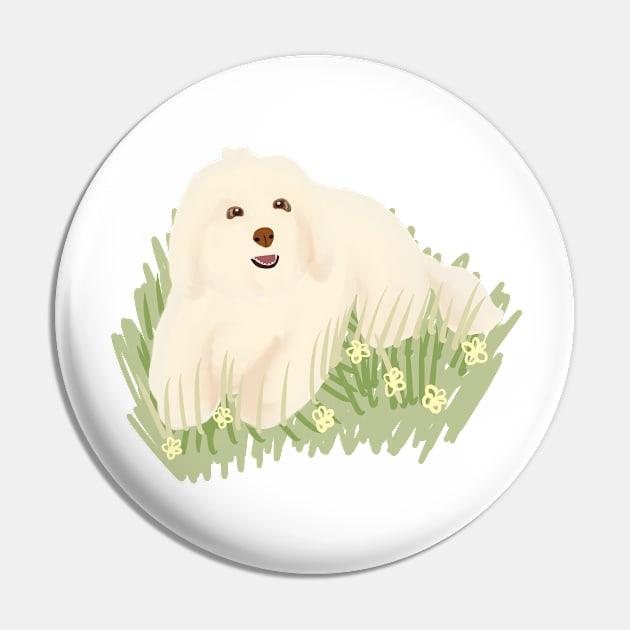 Maltipoo in the garden Pin by PatternbyNOK