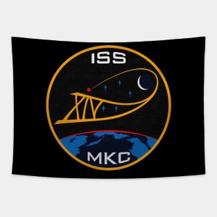 Black Panther Art - NASA Space Badge 146 Tapestry