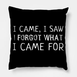 I Came, I Saw, I Forgot What I Came For Funny Gift Pillow