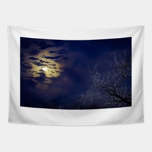 New Year Moon - Graphic Tapestry