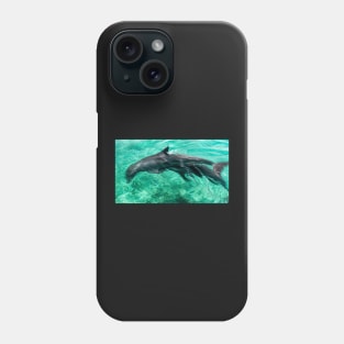 Dolphins playing Phone Case