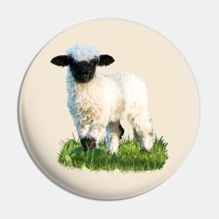 Valais Blacknose Lamb in a Meadow Pin