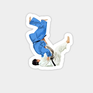 Judo Magnet