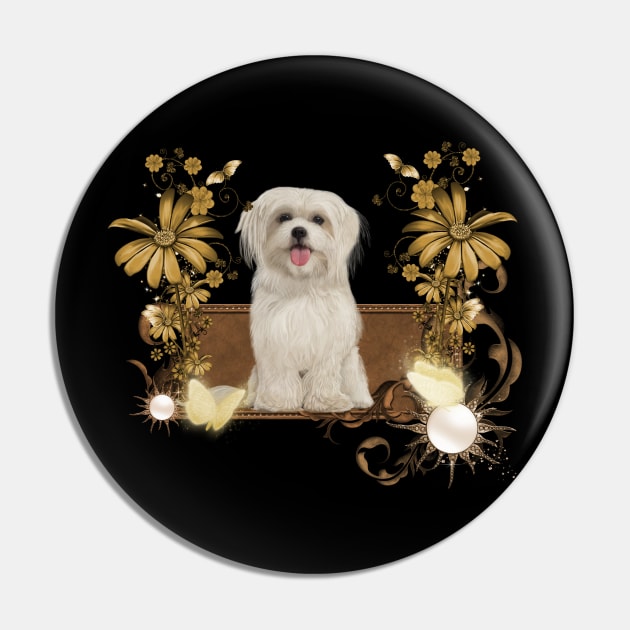 Cute maltese puppy Pin by Nicky2342