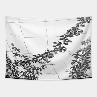 Black and white watercolor Passionflower Vine Climbing on Wire 2 Tapestry