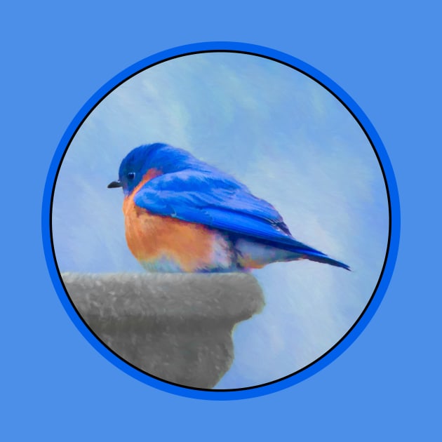 Bluebird by Alpen Designs