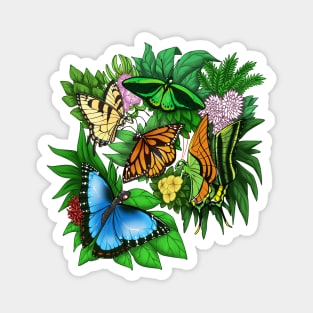 Butterflies Magnet