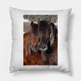 Nose frost - Horses Pillow