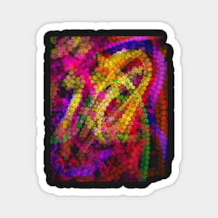 Crazy abstract 12 Magnet