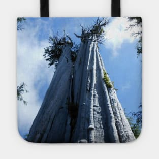 Big Cedar Tree Nature Photography Pacific Northwest Tote