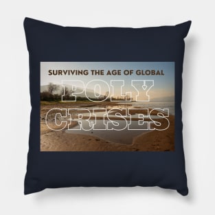 Surviving the Age of Polycrises Pillow