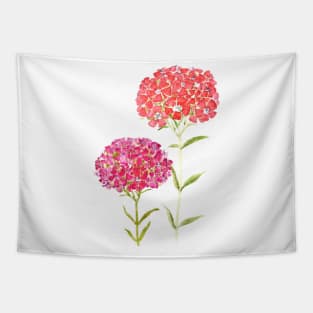 red pink purple Sweet William flower Tapestry