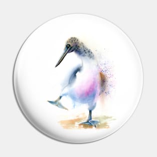 Blue footed booby Pin