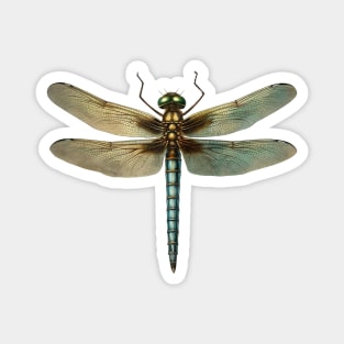 Mythical Clockwork Dragonfly Magnet