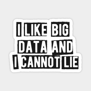 Data analyst - I like big data and cannot lie Magnet