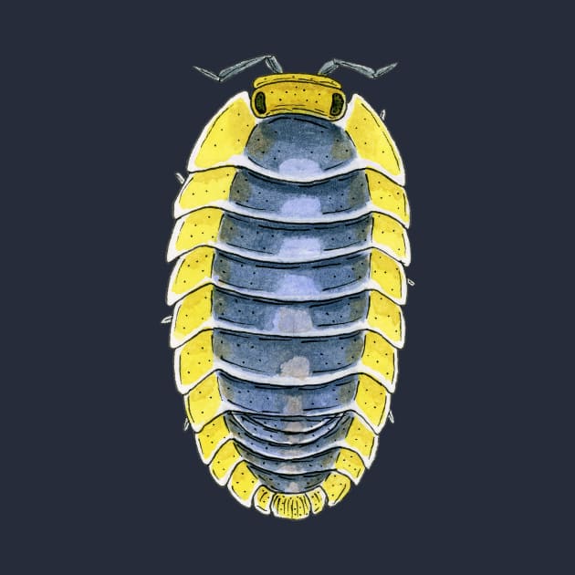 Cubaris sp. "Lemon Blue" Isopod by paintedpansy