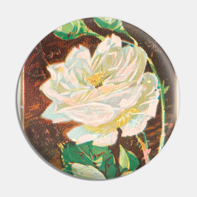 Bride Rose Pin by WAITE-SMITH VINTAGE ART