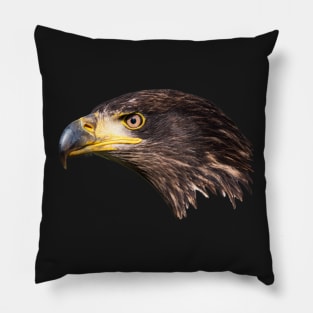 Close-up of an immature American bald eagle Pillow