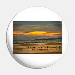 Oystercatchers on the beach Pin