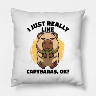 I Just Really Like Capybaras Lover Rodent Zoo Cute Capybara Pillow