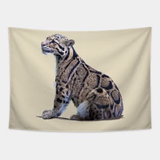 Clouded leopard Tapestry