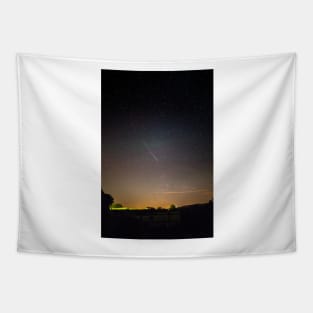 Perseid meteor trail 2015 (C026/0539) Tapestry