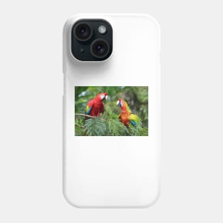 Scarlet Macaws - Costa Rica Phone Case