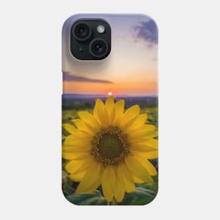 touch the sun Phone Case