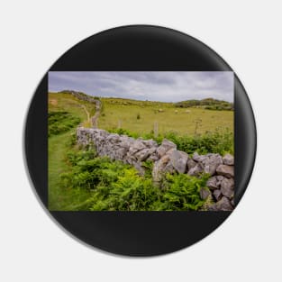 A view from the Welsh Coastal path Pin