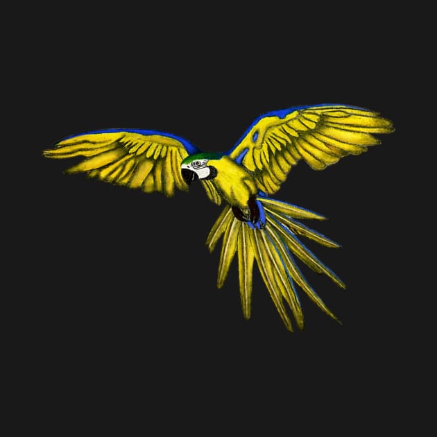 Blue And Yellow Macaw Drawing by ArtAndBliss