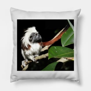 Cotton-top Tamarin Pillow