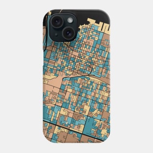 Hamilton Map Pattern in Mid Century Pastel Phone Case