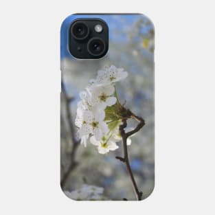 Flowering Tree in Spring Phone Case