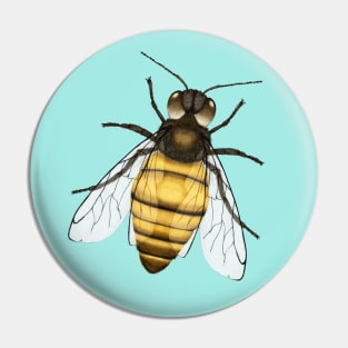 Bee pencil drawing color version Pin