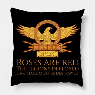 Acient Rome Punic Wars Carthage Must Be Destroyed Valentines Pillow