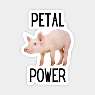 Petal Power Kirk’s Pig Magnet