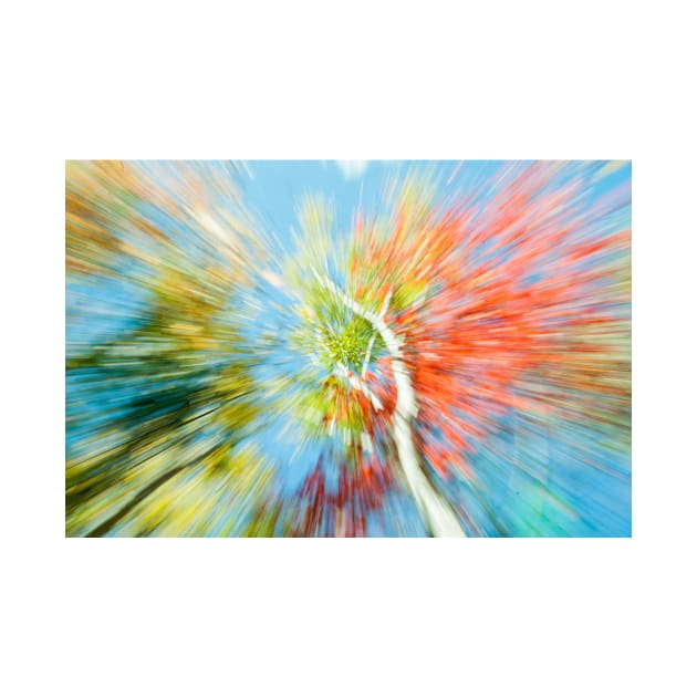 Vibrant nature abstract zoom blur by brians101