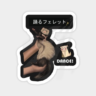 Dancing Ferret3 Magnet