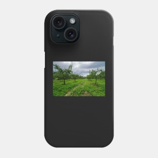 Plum trees orchard Phone Case