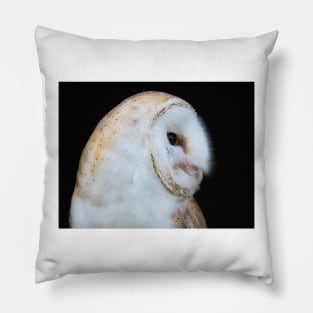 Close up view of a barn owl Pillow