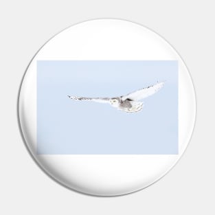 Glider - Snowy Owl Pin