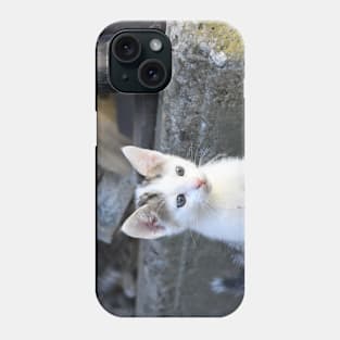 Kitty IV Phone Case