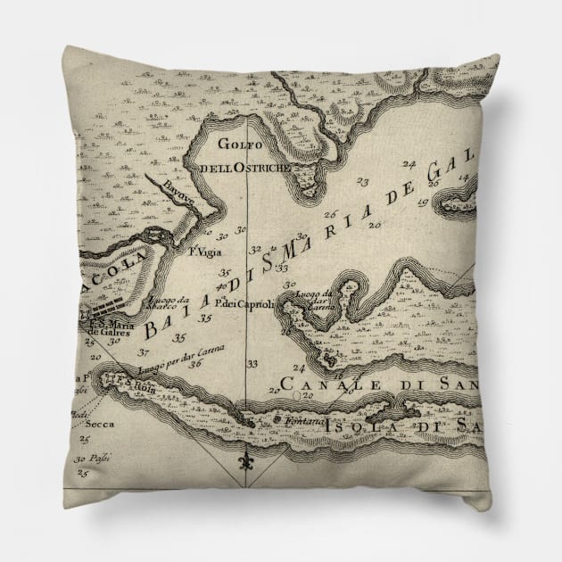 Vintage Map of Pensacola Florida (1763) Pillow by Bravuramedia