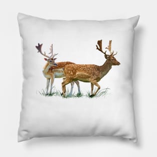 Rehe Pillow