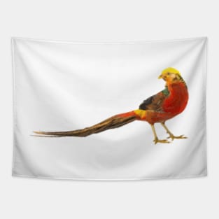 Golden Pheasant Digital Painting Tapestry