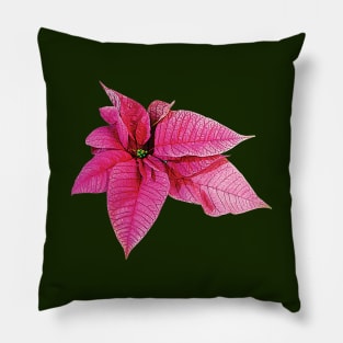 One Pink Poinsettia Pillow
