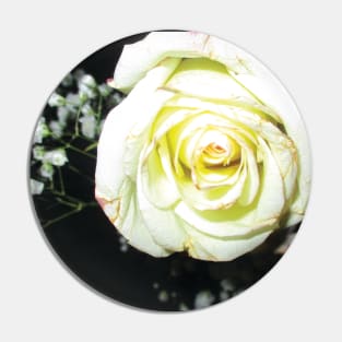 Beautiful white Rose Pin