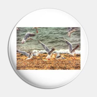 Gull Fight Pin