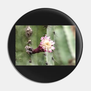 Cactus flower Pin