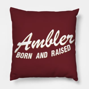 Ambler B&R Pillow